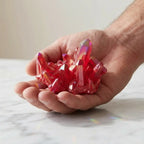 Red quartz crystal cluster resting in hand, polished mineral specimen with brilliant red points ideal for collectors and display.